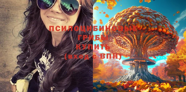 прущая мука Армянск